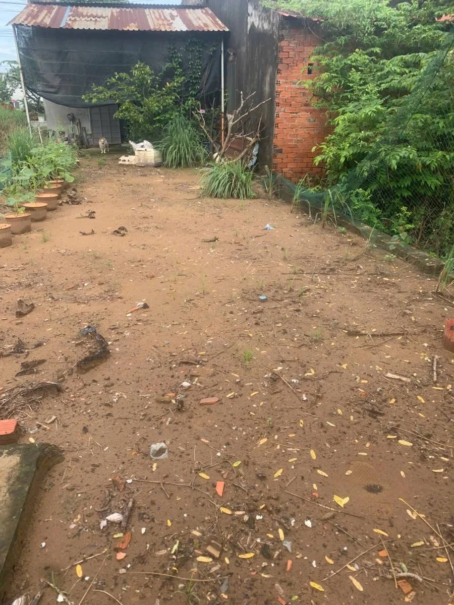 Bán đất nền mặt tiền đường Huỳnh Tấn Phát, 135m2, giá 1,5 tỷ, Châu Thành, Bến Tre - Ảnh thu nhỏ 3