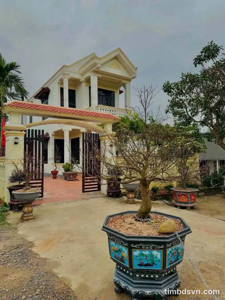 Bán nhà 2 tầng mặt tiền đường nhựa 280m² Phường 3 Tân Bình - Ảnh thu nhỏ 3