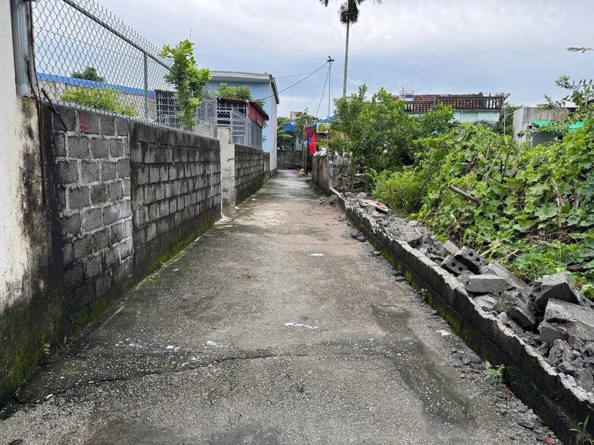 Bán lô đất góc 2 mặt ngõ 100m2, Hải Phòng - Ảnh thu nhỏ 4