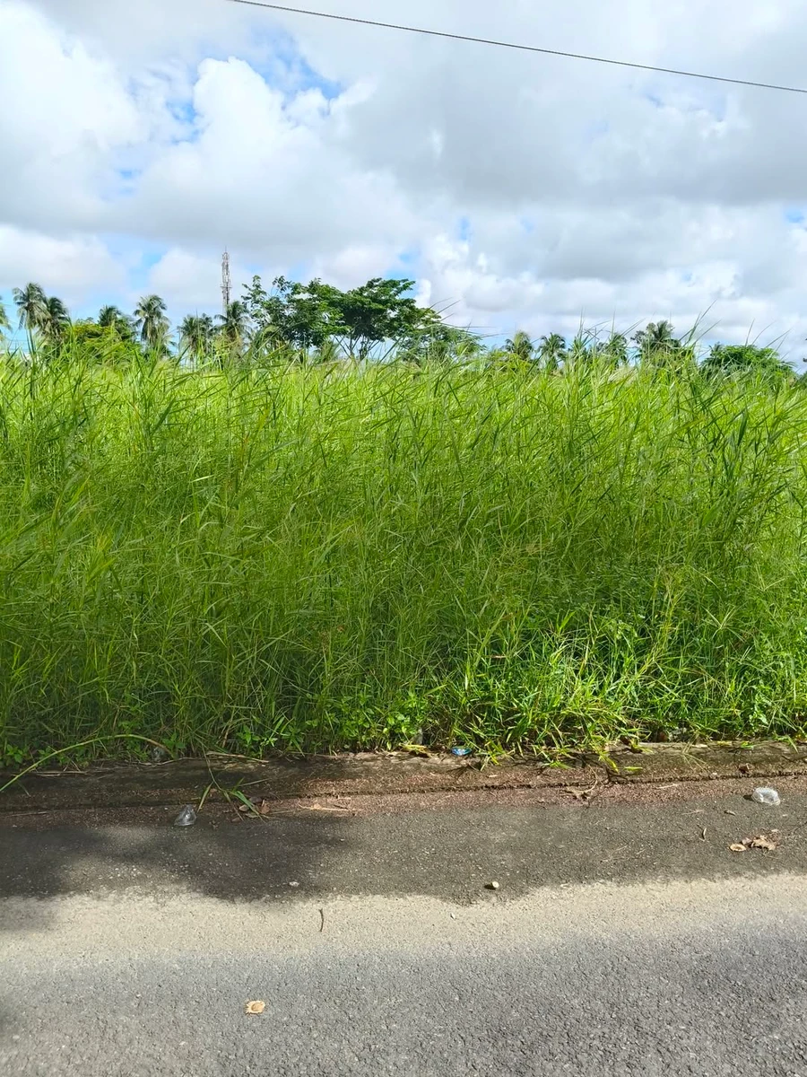 Bán nền liền kề Minh Lương 100m² 620 triệu - Ảnh 1