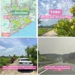 Bán đất Đạ Tẻh Lâm Đồng 180m2 mặt tiền 199 triệu - Ảnh thu nhỏ 3