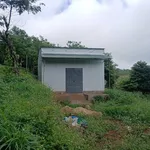 Bán đất 1ha Tuy Đức Lâm Đồng 1,3 tỷ - Ảnh thu nhỏ 2