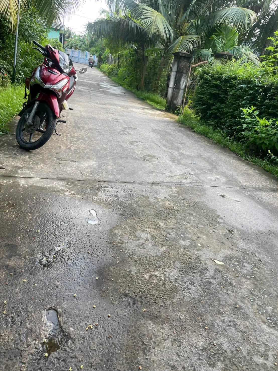 Bán đất nền 532m2 ngang 22m xã Giồng Trôm, Vĩnh Long giá 500 triệu - Ảnh 1