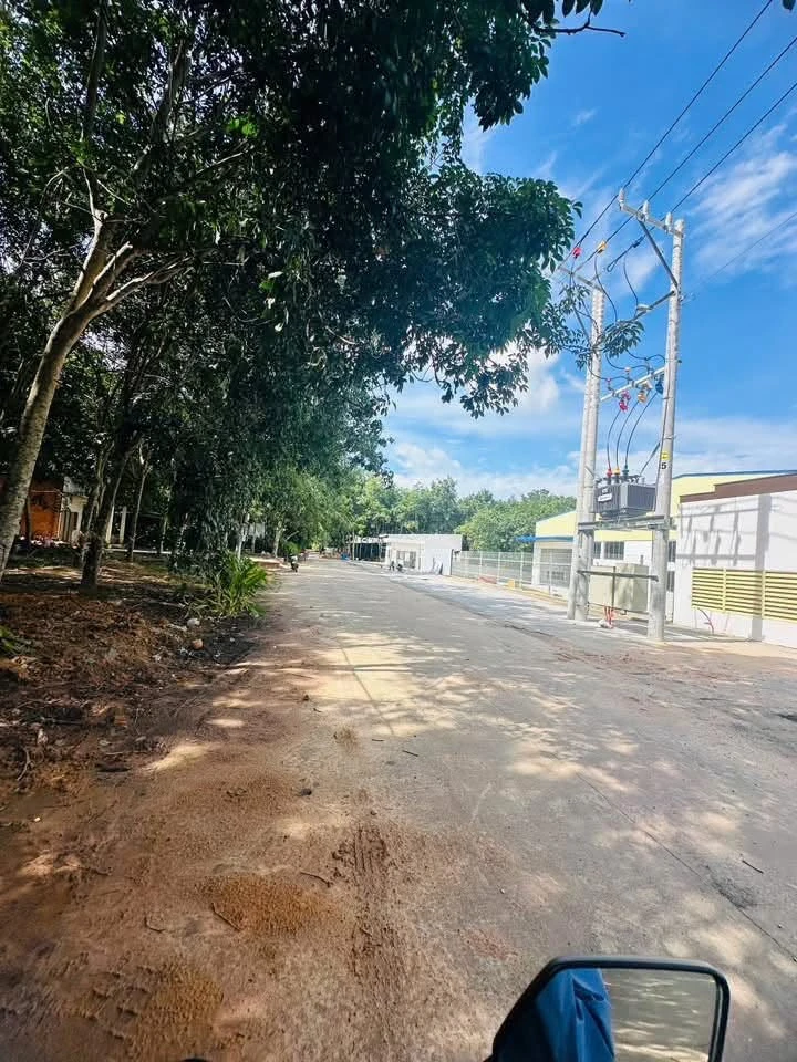 Bán đất Bình Mỹ 23x50m, 1150m² - 350 triệu - Ảnh thu nhỏ 3