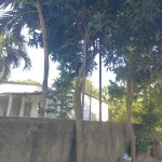 Bán nhà 3 tầng - đất trăm mét - giá chỉ nhỉnh hơn 2 tỷ TP. Huế! - Ảnh thu nhỏ 17