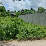 Bán đất nền Kênh Tập Đoàn 2, Phú Tân, Bến Tre, 177m² - Ảnh thu nhỏ 4