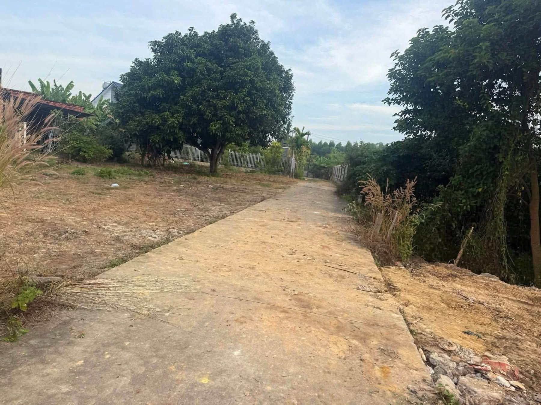 Bán đất 139m² sát UBND Xã Nghĩa Thành 650 triệu - Ảnh thu nhỏ 2