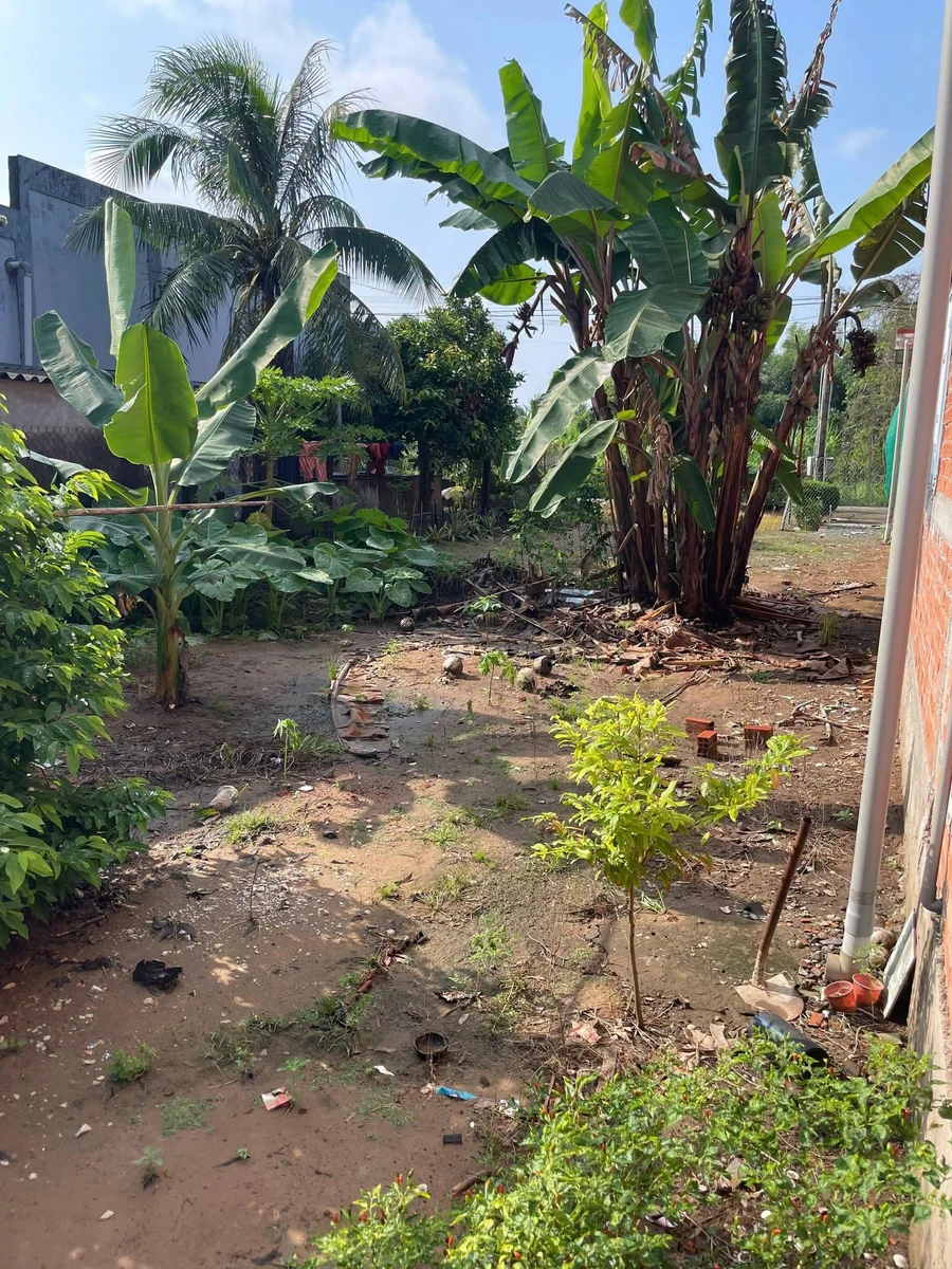 Bán đất nền 175m² Mỹ Hòa, Nhà Bè 520 triệu - Ảnh 1