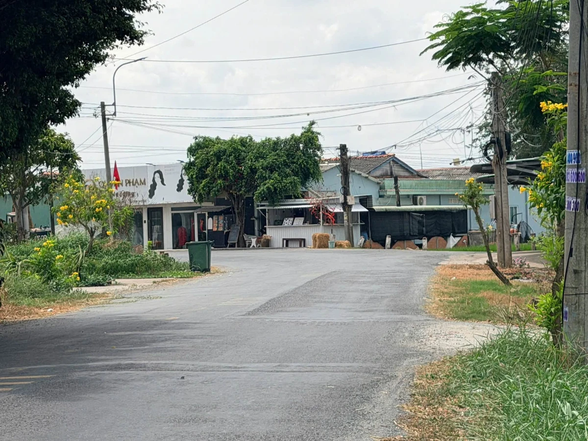 Bán đất thổ cư mặt tiền Cao Thị Mai 260m2, 1,4 tỷ/nền, Bình Trinh Đông, Tân Trụ, Long An - Ảnh thu nhỏ 2
