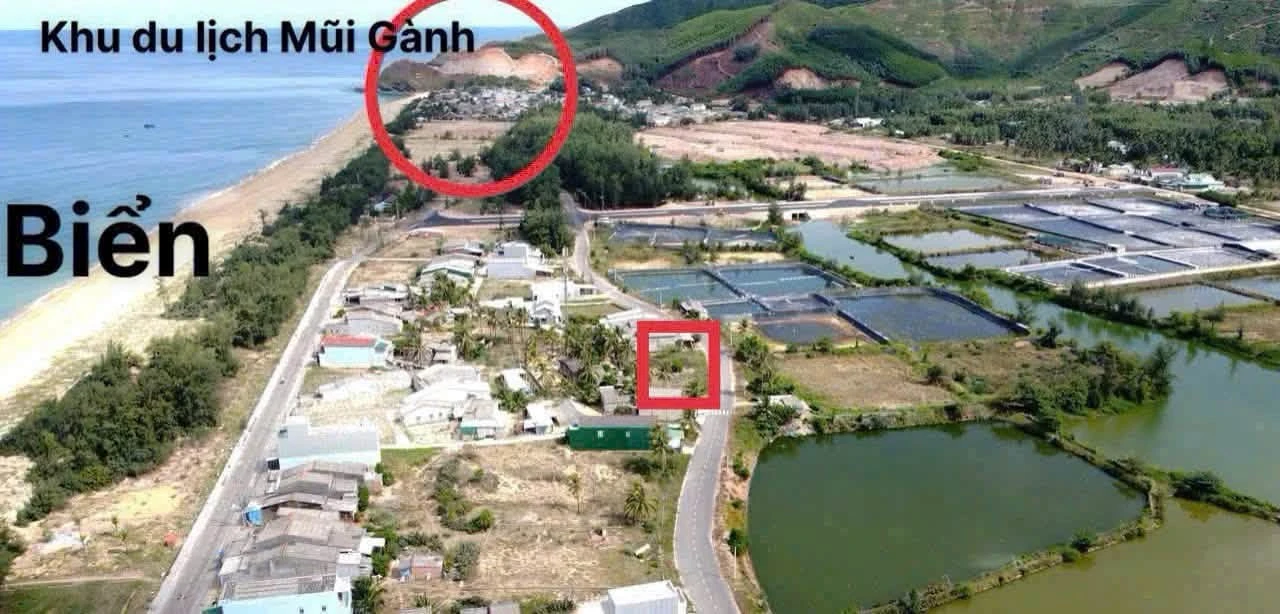 Bán đất góc sát biển Hoài Hải Bình Định 100m² giá 6 tỷ - Ảnh 1