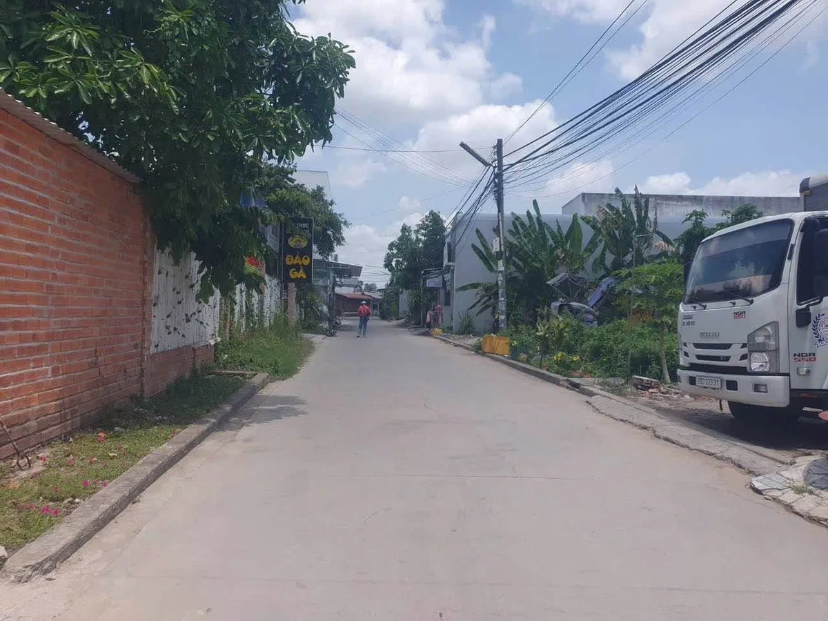 Bán nền 113m² đường Nguyễn Văn Linh, Bình Tân - Ảnh thu nhỏ 2