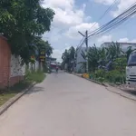 Bán nền 113m² đường Nguyễn Văn Linh, Bình Tân - Ảnh thu nhỏ 2
