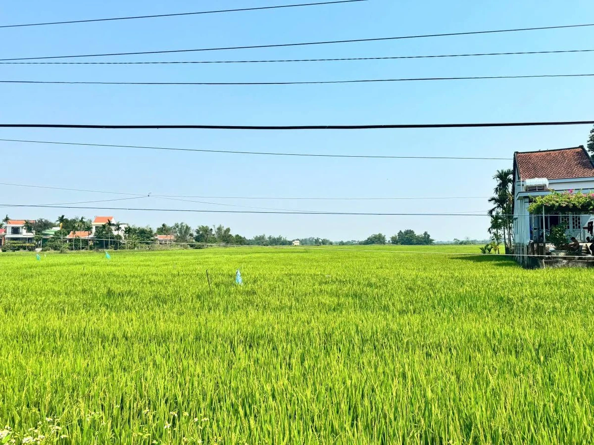 Bán đất Phường An Thắng 160m² giá 1 tỷ 200 triệu - Ảnh thu nhỏ 2