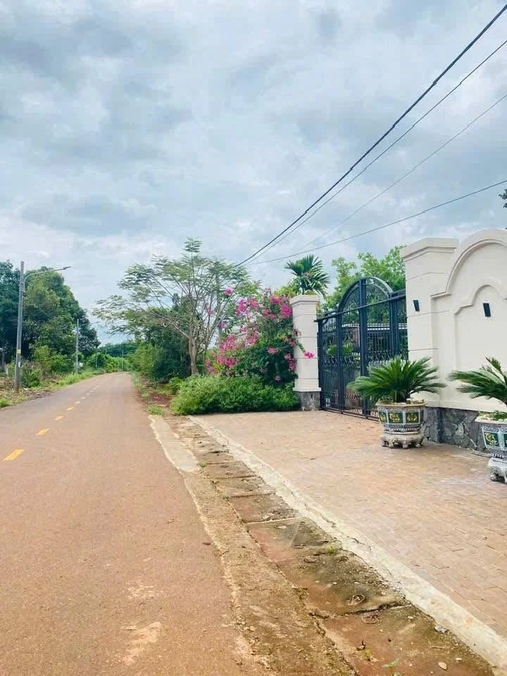 Bán đất sào Xã Long Tân Huyện Đất Đỏ 847m² - Ảnh thu nhỏ 2