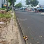 Bốn nền trục chính liền kề đối diện chợ KCN Bình Minh (ngay cầu Cần Thơ) giá 10,4 tỷ - Ảnh thu nhỏ 8