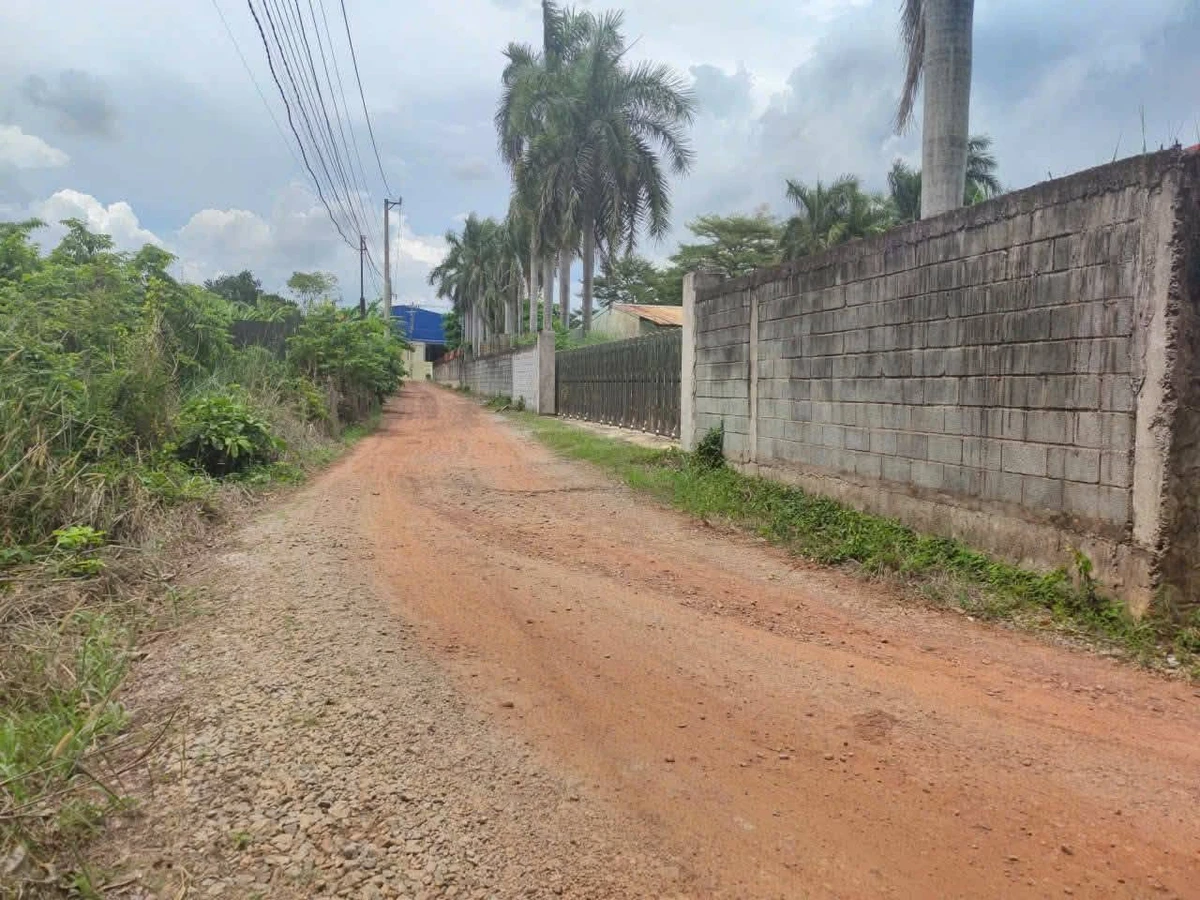 Bán đất có sẵn nhà vườn giá khoảng 2,2 tỷ tại Phường Long Nguyên, cách chợ Bến Cát 4km - Ảnh thu nhỏ 4