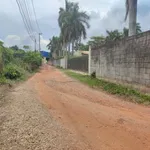 Bán đất có sẵn nhà vườn giá khoảng 2,2 tỷ tại Phường Long Nguyên, cách chợ Bến Cát 4km - Ảnh thu nhỏ 4