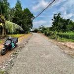 Bán đất 165m² mặt tiền đường nhựa Tây Ninh 320 triệu - Ảnh thu nhỏ 3