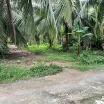 Bán đất Phú Nhuận Bến Tre 400m² giá 650 triệu - Ảnh thu nhỏ 3