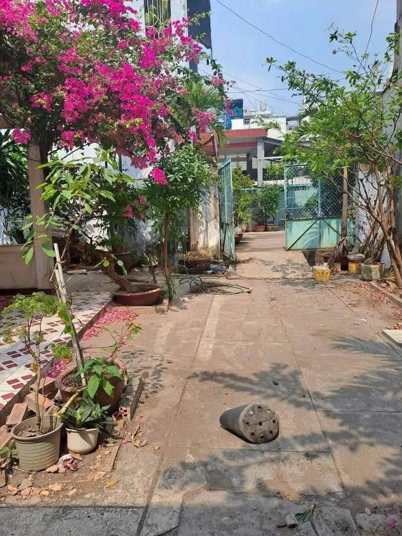 Bán đất nước Gò Vấp 220m² giá 16.5 tỷ - Ảnh thu nhỏ 4