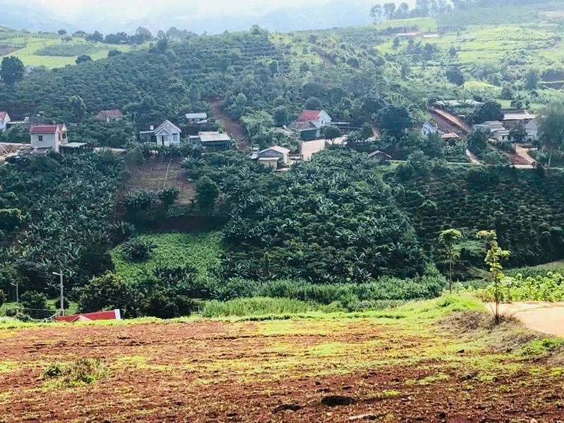 Đất view núi 690m2 ven Đà Lạt, Nam Ban Lâm Hà