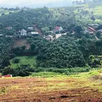 Đất view núi 690m2 ven Đà Lạt, Nam Ban Lâm Hà - Ảnh thu nhỏ 1