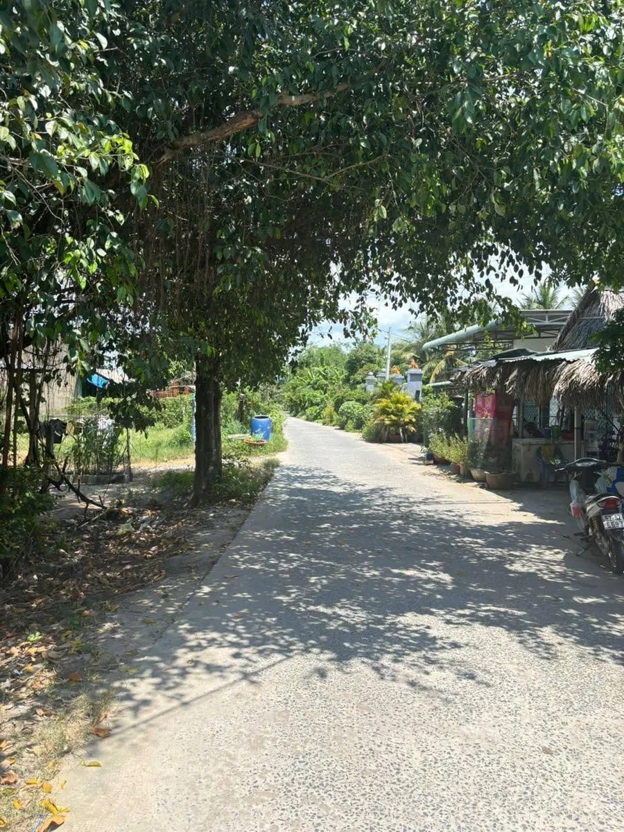 Bán lô đất 136m² Đức Hòa Thượng, Long An 810 triệu - Ảnh thu nhỏ 3
