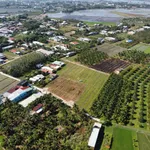 Bán đất 5x40m thổ cư Phước Hội, Tây Ninh, 400 triệu - Ảnh thu nhỏ 4