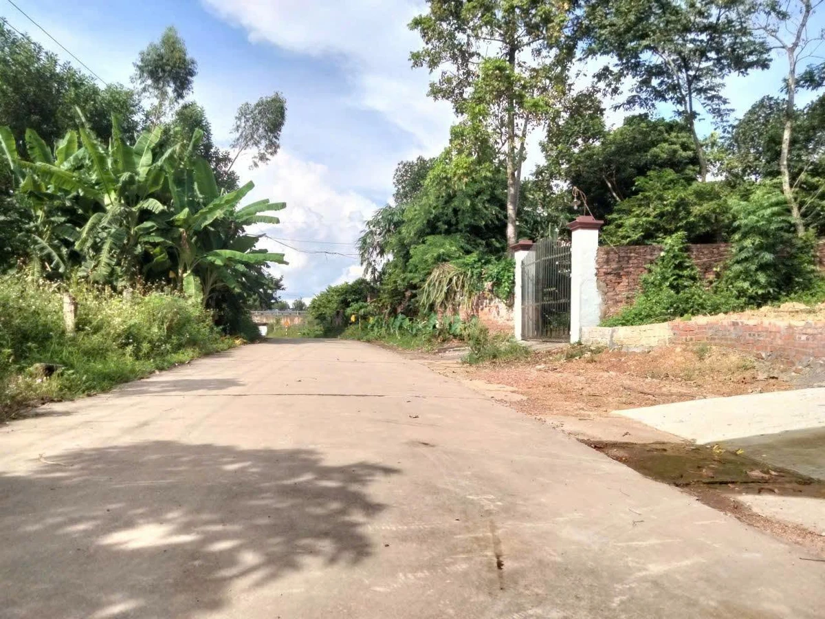 Bán đất 101m2 thổ cư gần Bắc Lâm Thao 360 triệu - Ảnh thu nhỏ 2