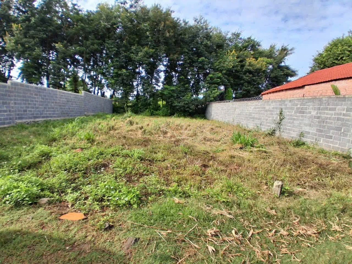 Bán lô đất nông nghiệp 390m² Nguyễn Thị Định, Đắk Lắk - Ảnh thu nhỏ 4