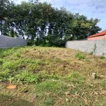 Bán lô đất nông nghiệp 390m² Nguyễn Thị Định, Đắk Lắk - Ảnh thu nhỏ 4