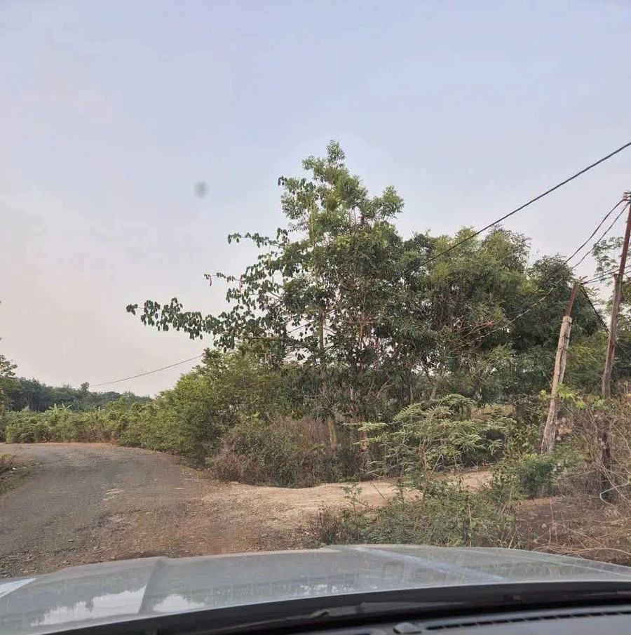 Bán đất 1.000m² mặt tiền An Khương Hớn Quản Bình Phước - Ảnh 1