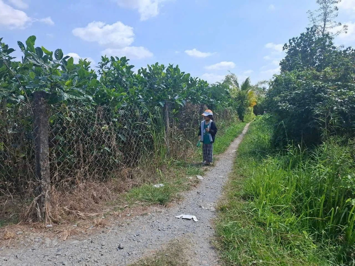 Bán đất Long Thới Chợ Lách 2.700m² giá 463 tr/công - Ảnh thu nhỏ 2