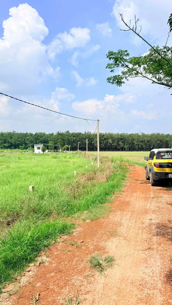 Bán đất thổ cư 51m2 xã Tân Châu Tây Ninh 109 triệu - Ảnh thu nhỏ 2