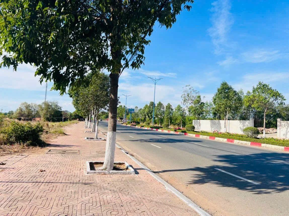 Bán đất mặt tiền Võ Thị Sáu Đất Đỏ 345m2 - Ảnh thu nhỏ 3