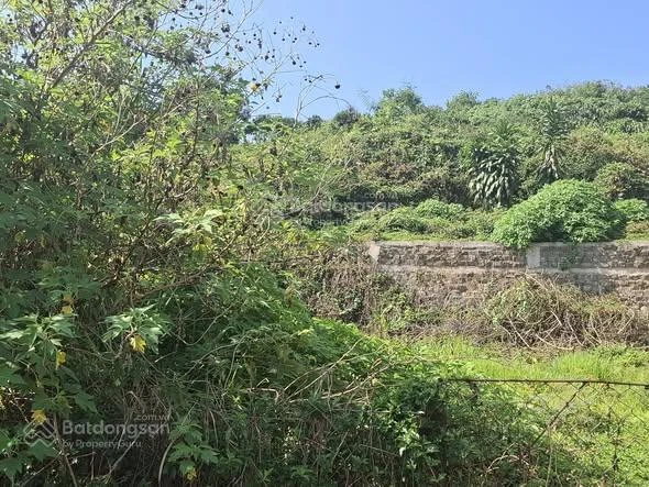Bán đất mặt tiền Lương Văn Can - sẵn thổ cư - phường Lộc Sơn (cũ) Bảo Lộc giá 1 tỷ 750 - Ảnh thu nhỏ 3