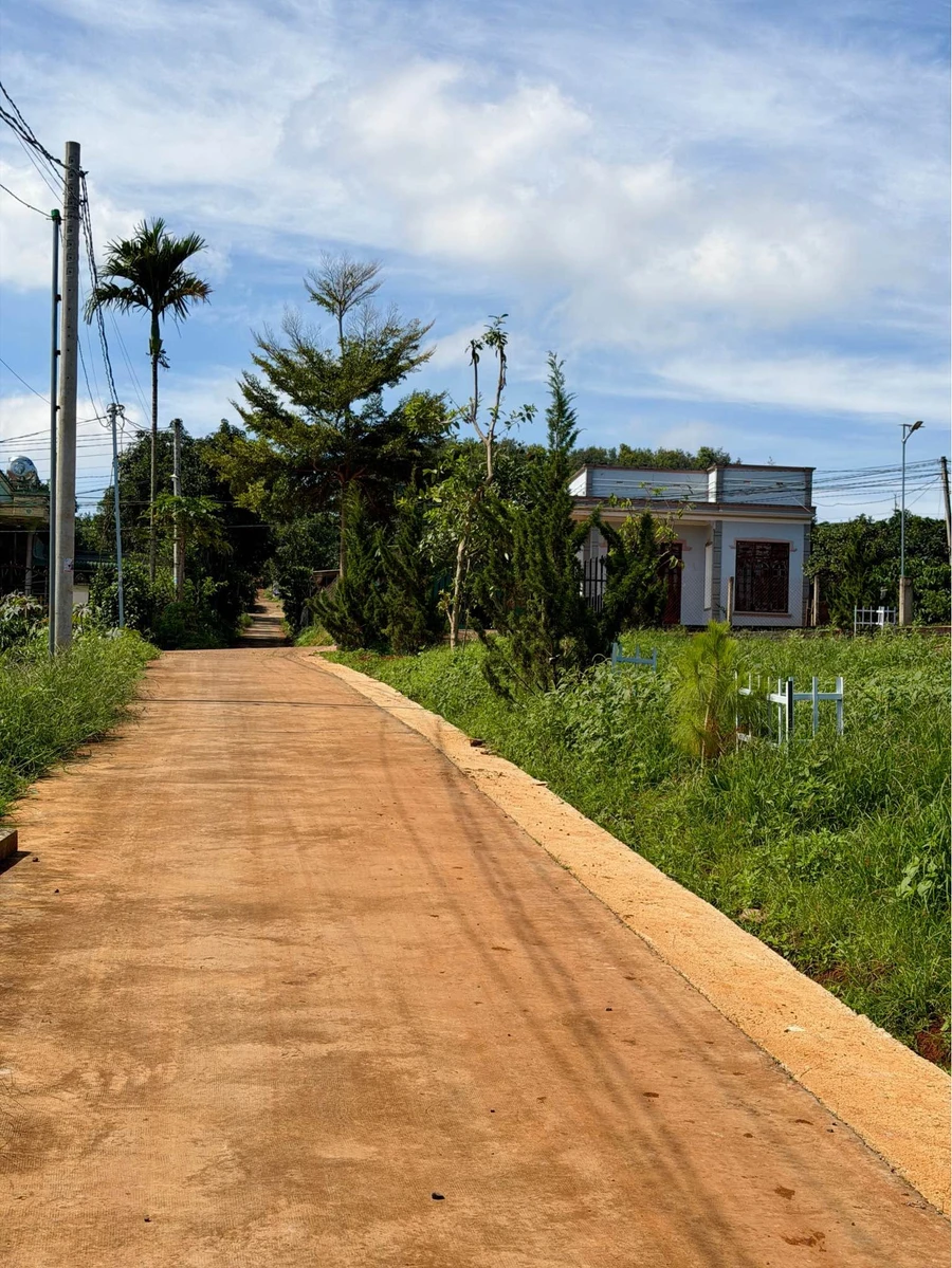 Bán lô đất 210m² Xã Nam Ban, Lâm Đồng, 685 triệu - Ảnh thu nhỏ 2