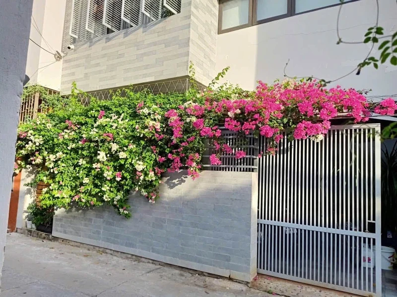 Bán đất tặng nhà 2 tầng 90m2 đường Chế Lan Viên gần biển Mỹ Khê, Đà Nẵng