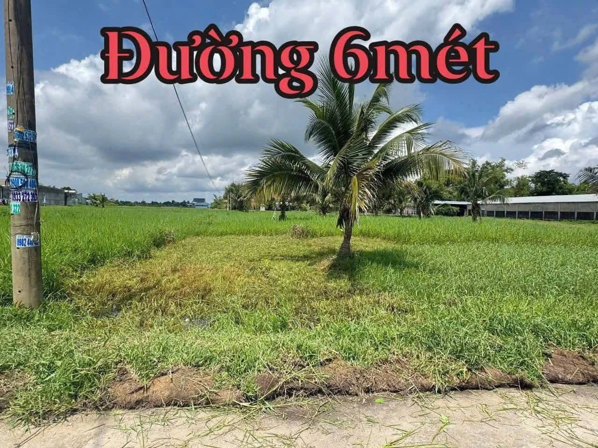 Bán đất bê tông 5x25m gần đường 823, 890 triệu - Ảnh 1
