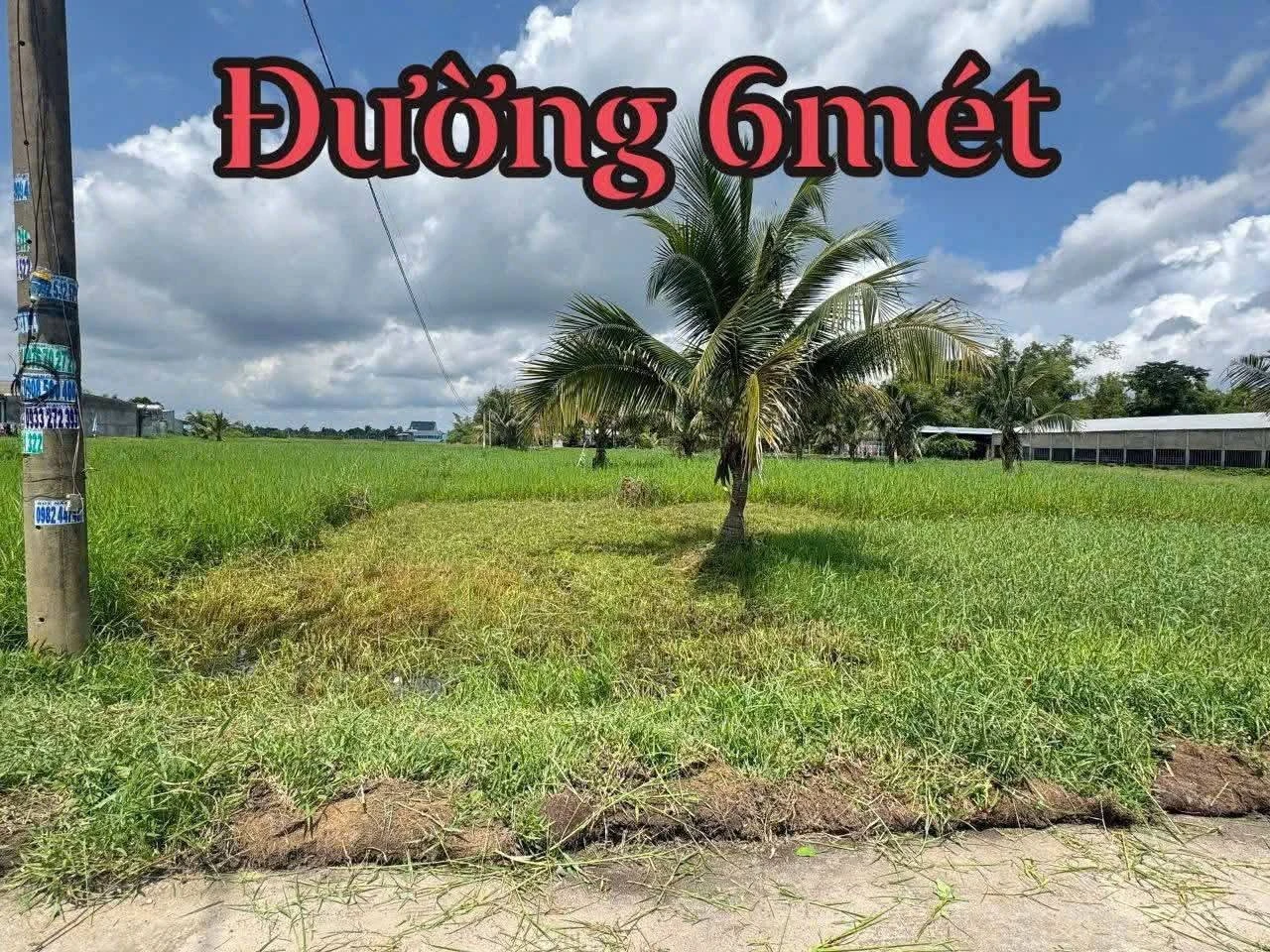 Bán đất bê tông 5x25m gần đường 823, 890 triệu - Ảnh 1