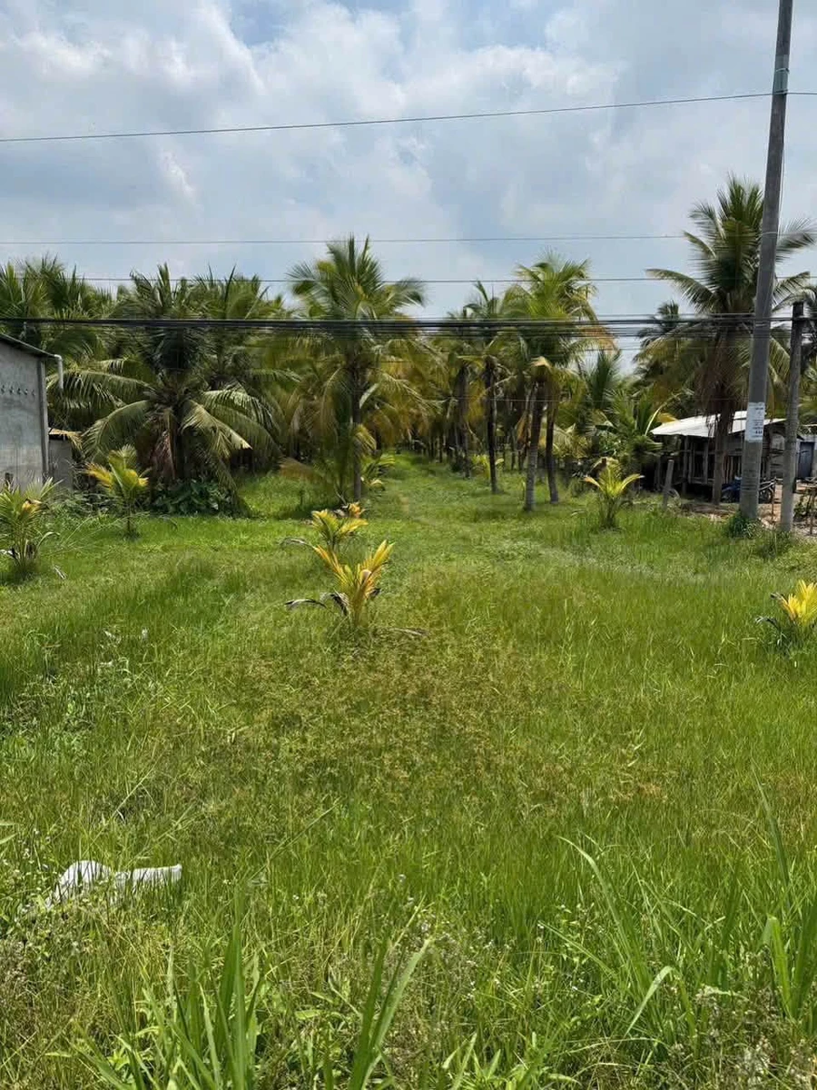 Đất bán 2.534m² Thành Thới, Vĩnh Long, 1,6 tỷ/công - Ảnh thu nhỏ 2