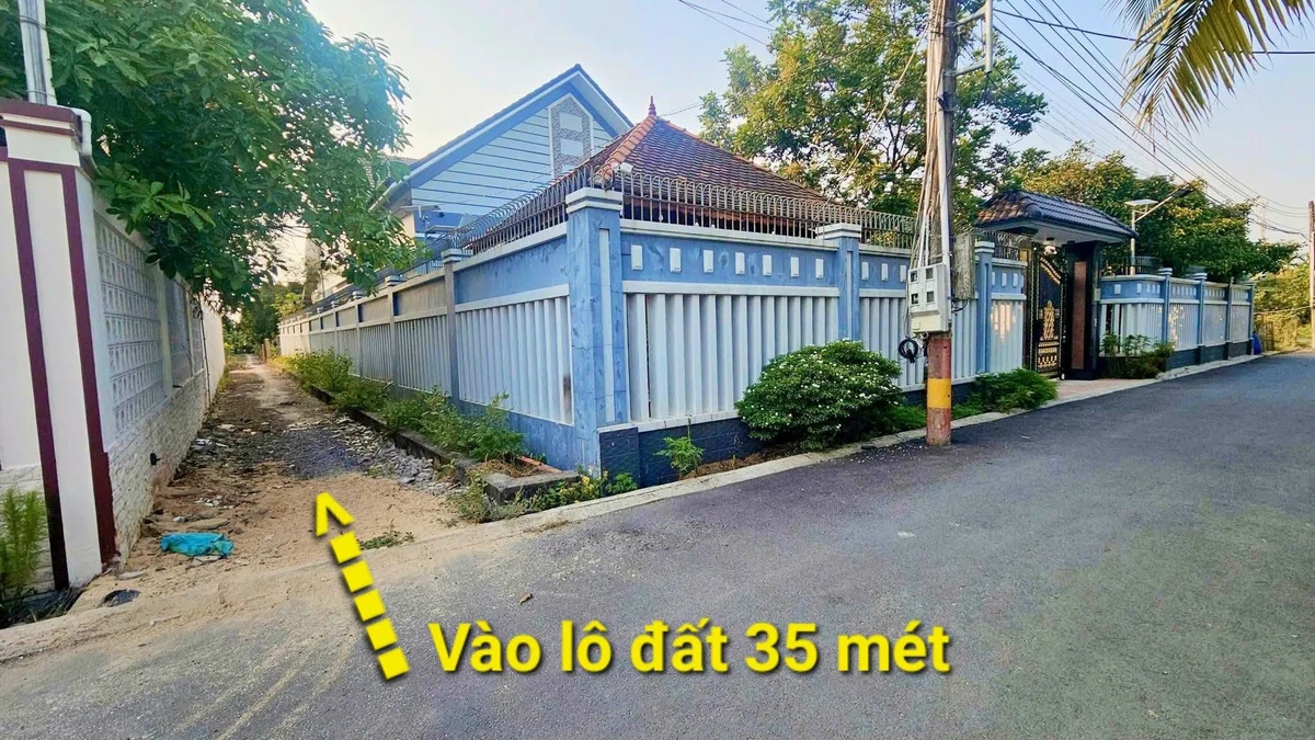 Bán đất vườn măng cụt 124 m² Thuận An Bình Chánh - Ảnh thu nhỏ 2