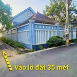 Bán đất vườn măng cụt 124 m² Thuận An Bình Chánh - Ảnh thu nhỏ 2