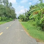 Bán đất thổ cư 196m2 mặt tiền nhựa ĐH Thanh Phong, Tân Trụ, giá 999 triệu - Ảnh thu nhỏ 3