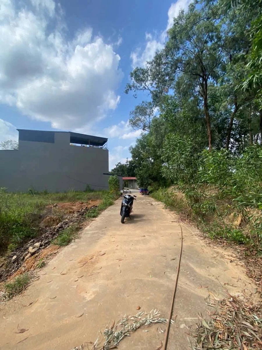 Bán 2 lô đất liền kề 100m² tại Văn Hà, Bắc Ninh - Ảnh 1