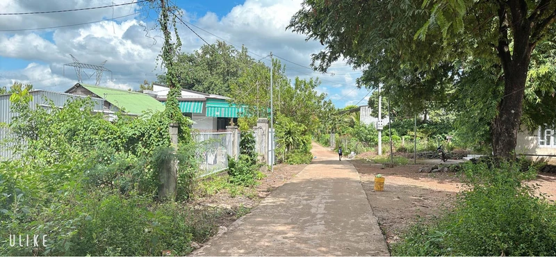 Bán đất Làng Thái Hòa Phú 250m² giá 530 triệu