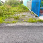 Bán gấp đất thổ cư mặt tiền 5x40m đường liên xã Long Sơn - Tân Trạch, Cần Đước, giá 1,32 tỷ - Ảnh thu nhỏ 3