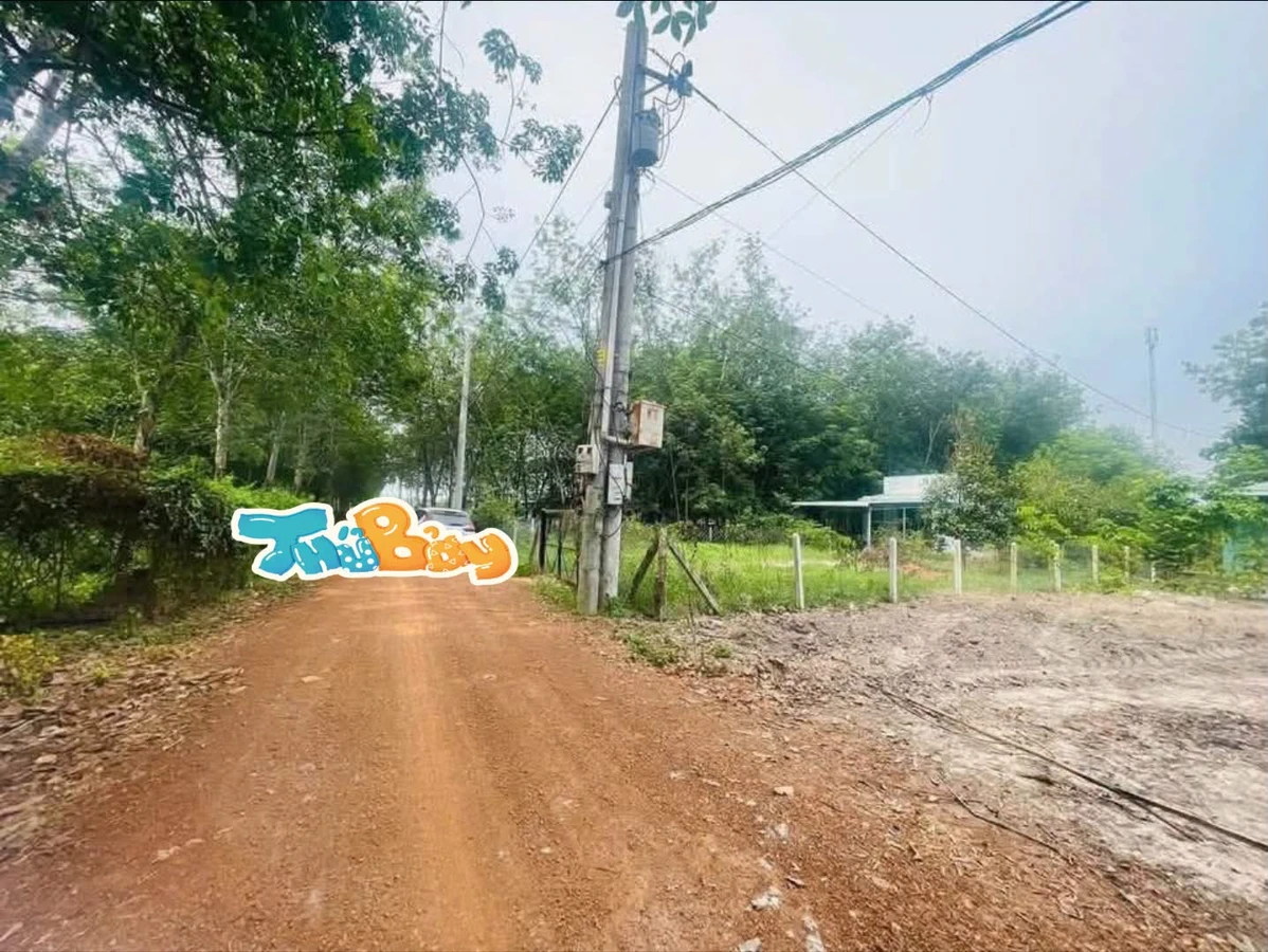 Bán đất Sỏi đỏ Minh Thạnh 7x50m (350m²) 399 triệu - Ảnh thu nhỏ 2