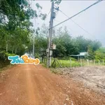 Bán đất Sỏi đỏ Minh Thạnh 7x50m (350m²) 399 triệu - Ảnh thu nhỏ 2