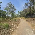 Bán lô đất 976m² sát Sơn Tiên, An Hoà, Cần Giờ - Ảnh thu nhỏ 1